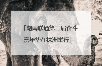 湖南联通第三届奋斗嘉年华在株洲举行