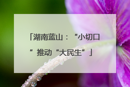 湖南蓝山：“小切口”推动“大民生”