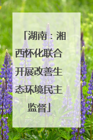 湖南：湘西怀化联合开展改善生态环境民主监督