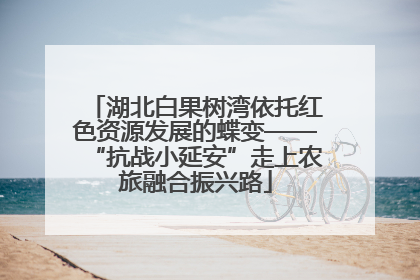 湖北白果树湾依托红色资源发展的蝶变——“抗战小延安”走上农旅融合振兴路