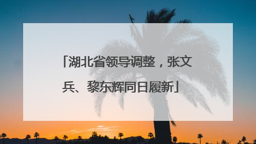 湖北省领导调整，张文兵、黎东辉同日履新