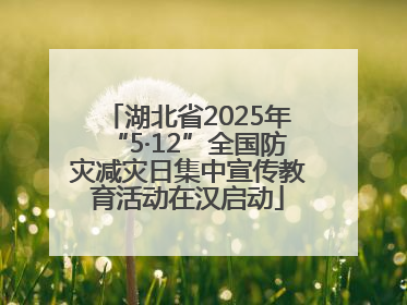 湖北省2025年“5·12”全国防灾减灾日集中宣传教育活动在汉启动