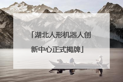 湖北人形机器人创新中心正式揭牌