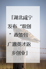 湖北咸宁发布“双创”政策包 广邀英才返乡创业