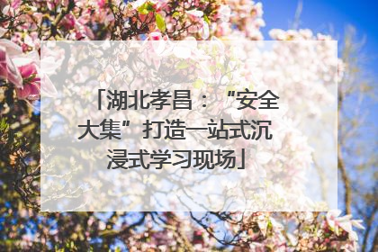 湖北孝昌：“安全大集”打造一站式沉浸式学习现场