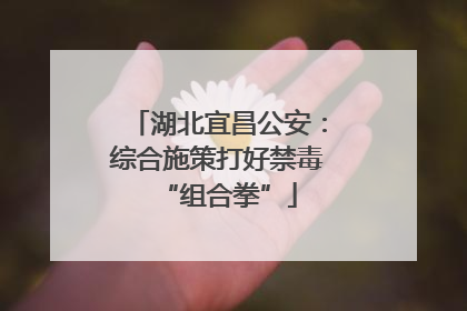 湖北宜昌公安：综合施策打好禁毒“组合拳”