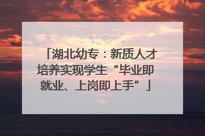 湖北幼专：新质人才培养实现学生“毕业即就业、上岗即上手”
