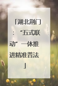 湖北荆门：“五式联动”一体推进精准普法