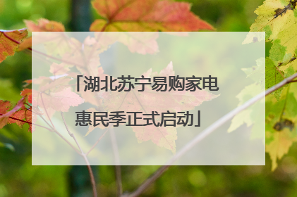湖北苏宁易购家电惠民季正式启动