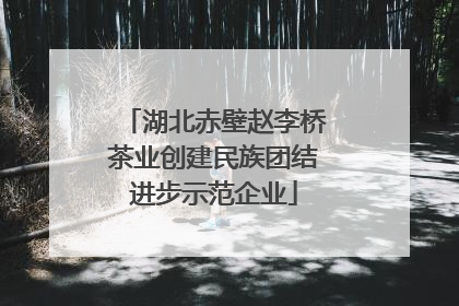 湖北赤壁赵李桥茶业创建民族团结进步示范企业