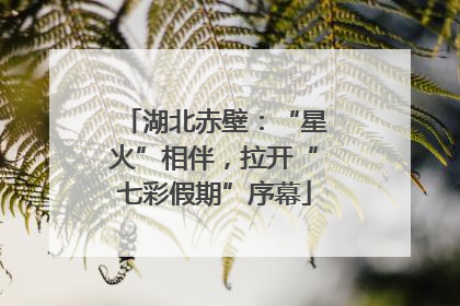湖北赤壁：“星火”相伴，拉开“七彩假期”序幕