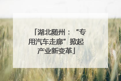 湖北随州：“专用汽车走廊”掀起产业新变革
