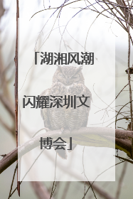 湖湘风潮闪耀深圳文博会