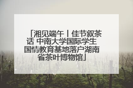 湘见端午丨佳节叙茶话 中南大学国际学生国情教育基地落户湖南省茶叶博物馆