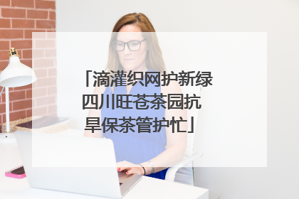滴灌织网护新绿 四川旺苍茶园抗旱保茶管护忙