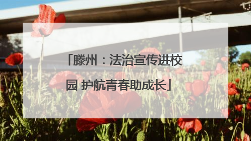 滕州：法治宣传进校园 护航青春助成长