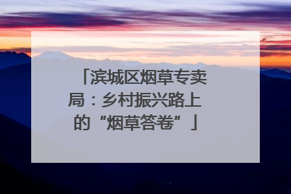 滨城区烟草专卖局：乡村振兴路上的“烟草答卷”