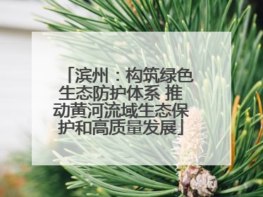 滨州：构筑绿色生态防护体系 推动黄河流域生态保护和高质量发展