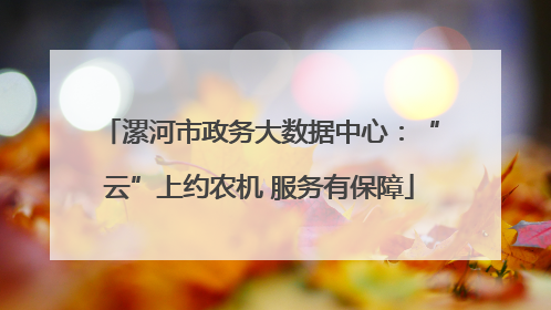 漯河市政务大数据中心：“云”上约农机 服务有保障