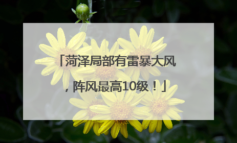 菏泽局部有雷暴大风，阵风最高10级！