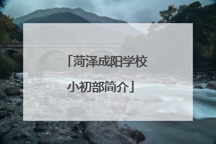 菏泽成阳学校小初部简介