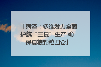 菏泽：多维发力全面护航“三夏”生产 确保夏粮颗粒归仓