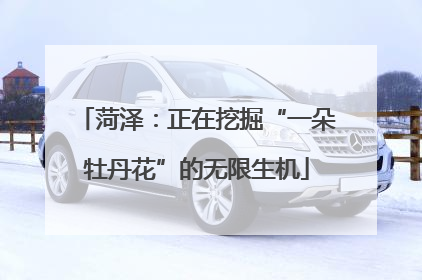 菏泽：正在挖掘“一朵牡丹花”的无限生机