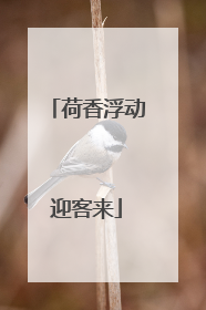 荷香浮动迎客来
