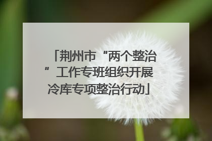 荆州市“两个整治”工作专班组织开展冷库专项整治行动