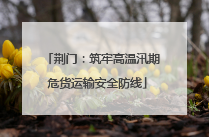 荆门：筑牢高温汛期危货运输安全防线