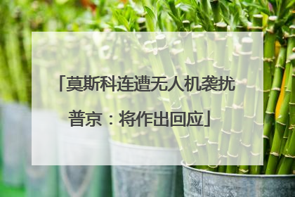 莫斯科连遭无人机袭扰 普京：将作出回应