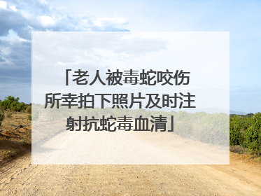 老人被毒蛇咬伤 所幸拍下照片及时注射抗蛇毒血清