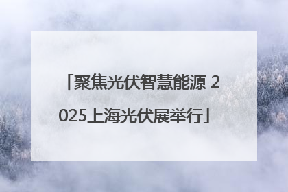 聚焦光伏智慧能源 2025上海光伏展举行