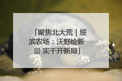 聚焦北大荒｜绥滨农场：沃野绘新景 实干开新局