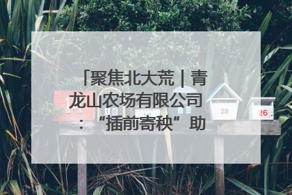 聚焦北大荒｜青龙山农场有限公司：“插前寄秧”助力农业节本增效