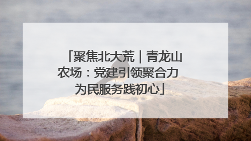 聚焦北大荒｜青龙山农场：党建引领聚合力 为民服务践初心