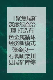 聚焦尾矿深度综合治理 打造有色金属循环经济新模式 张金良一行调研栾川县尾矿库综合治理工作