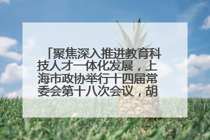 聚焦深入推进教育科技人才一体化发展，上海市政协举行十四届常委会第十八次会议，胡文容出席并讲话