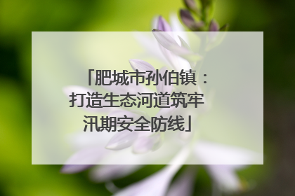 肥城市孙伯镇：打造生态河道筑牢汛期安全防线