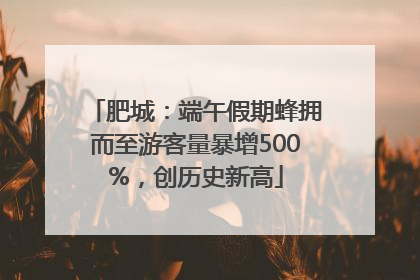 肥城：端午假期蜂拥而至游客量暴增500%，创历史新高