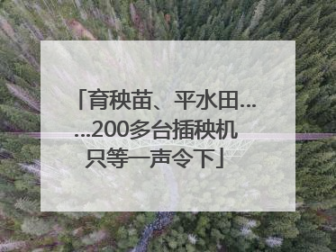 育秧苗、平水田……200多台插秧机只等一声令下