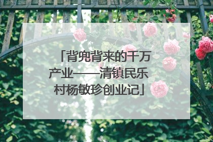 背兜背来的千万产业——清镇民乐村杨敏珍创业记