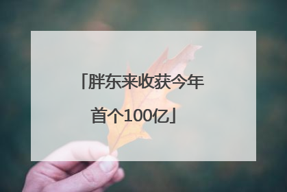 胖东来收获今年首个100亿