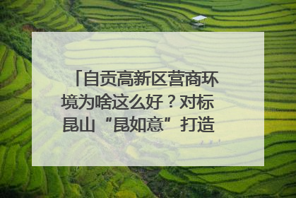 自贡高新区营商环境为啥这么好？对标昆山“昆如意”打造自贡“高兴办”｜美好生活有“盐”味