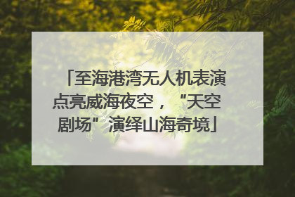 至海港湾无人机表演点亮威海夜空，“天空剧场”演绎山海奇境
