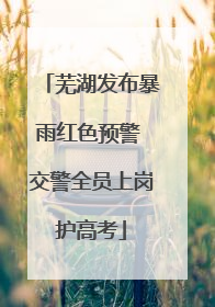 芜湖发布暴雨红色预警 交警全员上岗护高考
