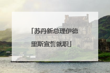 苏丹新总理伊德里斯宣誓就职