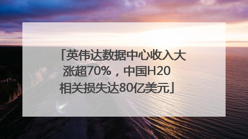英伟达数据中心收入大涨超70%，中国H20相关损失达80亿美元