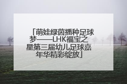 萌娃绿茵播种足球梦——LHK福宝之星第三届幼儿足球嘉年华精彩绽放