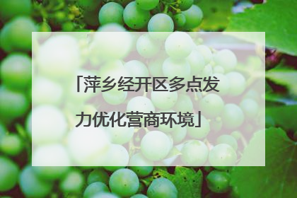 萍乡经开区多点发力优化营商环境